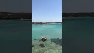 Cennet Koyu | Didim
