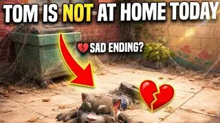 TOM IS NOT AT HOME TODAY 😶‍🌫️ watch till the end ✅️ #talkingtom #talkingtomcat #cat #sad #sadness 