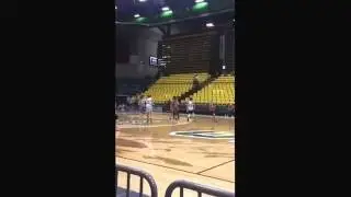 TIMP VS TIGERS