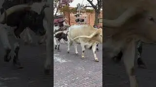 Один только штат Техас имеет ВВП $2,7 трлн &mdash; больше, чем вся Россия. С населением около 30млн чел.