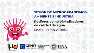 Rot&iacute;feros como bioindicadores de calidad de agua