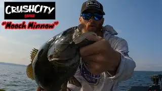 @Rapala crush city &ldquo;mooch minnow&rdquo; on the Garmin ls34 Lake Ontario NY. Crushed it!! 