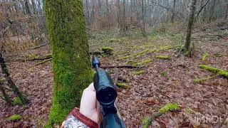 blaser R8 8,5x55 blaser chasse en battue