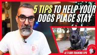 5 Tips to Help Your Dog&rsquo;s Place Stay | Al&rsquo;s Dog Training Tips
