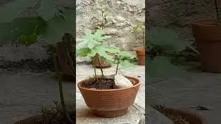 Arte e follia