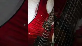 Schecter C-1 Standard Blood Burst Electric Guitar at Davis Guitar Music Centre Singapore