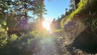 Tamarack Lake Desolation Wilderness 10/29/25