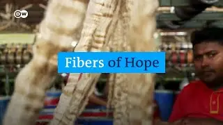 Germany's Hemp and Bangladesh's Jute: The Future of Two Natural Fibres