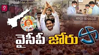 వైసీపీ జోరు | AP ZPTC, MPTC Election Results | Prime9 News