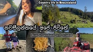 අපේ ජීවිතේ තවත් දවසක් | කියන දේ අහන් නැති හරකෙක්🤭#lifeinnewzealand #dayinthelife