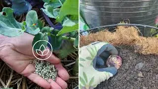 Kids' Garden Adventure: Fun & Easy Planting Activities for the Whole Family!