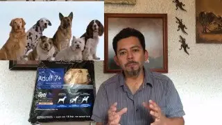 Proplan Senior 7+ de Purina