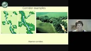 ELA Webinar: Corridor Ecology with Dr. Annika Keeley