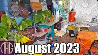 Off Grid Hawaii Property Walk ::  August 2023