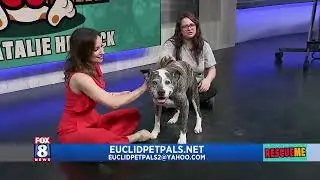 Rescue Me: Euclid Pet Pals