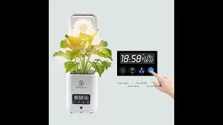 RayGalax CubeGreen Smart Planter Mini Garden