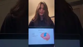 The Big Fat Brain (T.B.F.B.)- Payton and Ayesha