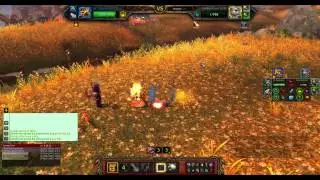 World of Warcraft Pet Battles: Pet Tips Attacks/Combos: Conflagrate