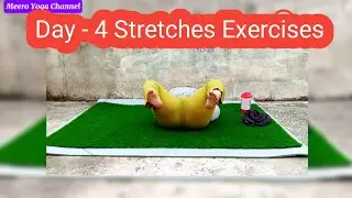 Day 4 | Full Body Stretching Yoga for Flexibility & Leg Pain Relief at Home