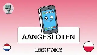 🇳🇱→🇵🇱 Leer Pools - Telefoonbatterij en WiFi-problemen
