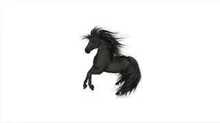 &ldquo;Wild Stallion&rdquo; (Free for profit) Old Town Road Type Beat