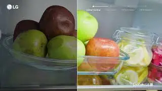 LG Fit & Max: Świeżość na dłużej | LG