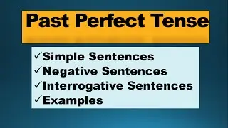 Past Perfect Tense, Negative & Interrogative Sentences,Examples English Grammar #theeducationalspan