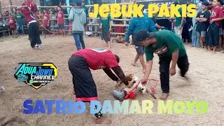 mberot Geden satrio damar moyo live jebuk paikis