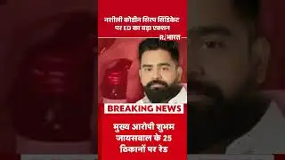 Cough Syrup Case: नशीली कोडीन सिरप सिंडिकेट पर ED का बड़ा एक्शन| UP News | UP Police |  Breaking