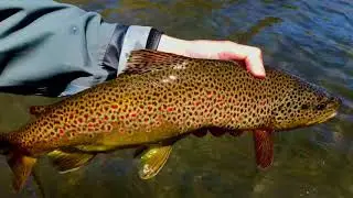 Beaverkill River Fly Fishing