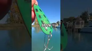Fishing with a SMALL SPOON 🐟🎣 #fishing #fish