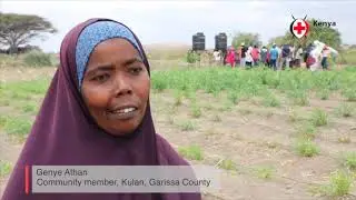 Kenya Red Cross - Always There