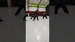 #choyleefut #choyleefutkungfu #kungfu #kungfuworld