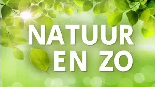 Natuur en Zo TV: Vlootbeek, shiitake en moestuin - 16 mei 2021