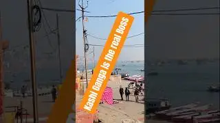 Kashi Ganga is the real Boss