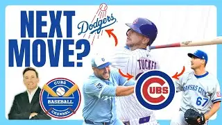 Connection? Castellanos/Schwarber & Tucker | Cubs Baseball Channel