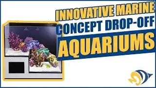 Innovative Marine Concept Drop-Off Aquariums: What YOU Need to Know