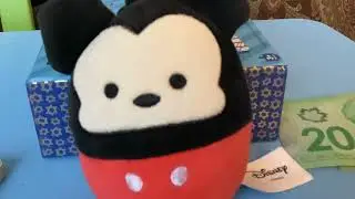 The Mickey Mouse cool song.
