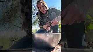 Foraging Yerba Mansa