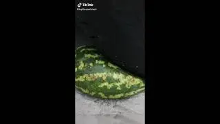 Experiment Car vs 32 Rainbow Water Balloons | Crushing Crunchy & Soft Things by Car | EvE
