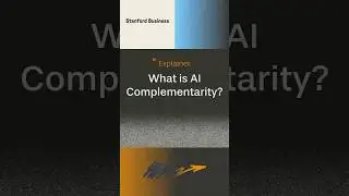 Explainer: AI Complementarity