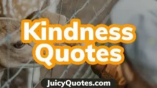 Top 15 Kindness Quotes and Sayings 2020 - (Results From Being Kind)