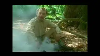 Shooting stars - Ray Mears