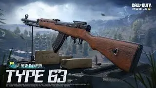 *NEW* TYPE - 63 DIAMOND MARKSMAN IN COD MOBILE - GUNSMITH / LOADOUT