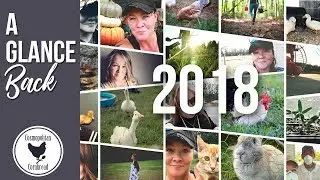 A GLANCE BACK AT 2018 | Cosmopolitan Cornbread