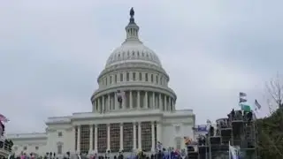 Congressional panel looks at Michigan's role in fighting domestic terrorism