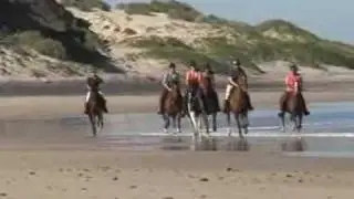 Wild Coast Horseback Adventures
