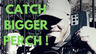 Tips to catch huge river perch with Sam Delasalle at Luretopia