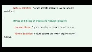 Class 9 Chapter 4 EVOLUTION Notes SANGAM Book Solution (Easy notes to learn for exam)