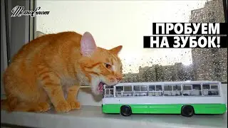 Масштабная модель автобуса IKARUS-260.06 от Modimio. Пробуем на зубок!